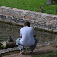 Matteo Paglia