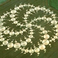 Cropcircles