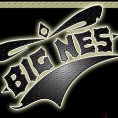 Big Nes