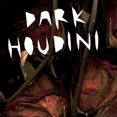 Dark Houdini