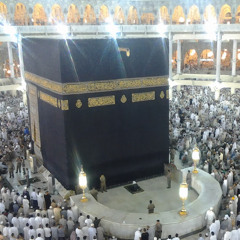 أحمد مصطفى محمد