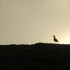 susceptio (Prod. Jura Kez)