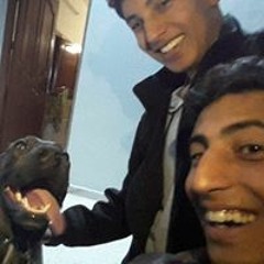 Mahdi Jarraya