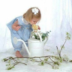 hesham akee