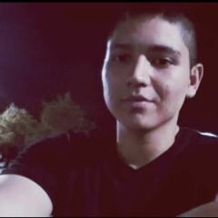 @bozkurt35