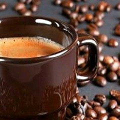 احمد ابوبكر
