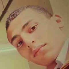 Fawkey Bassem