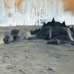 The Dragon's House