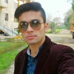 hassansari