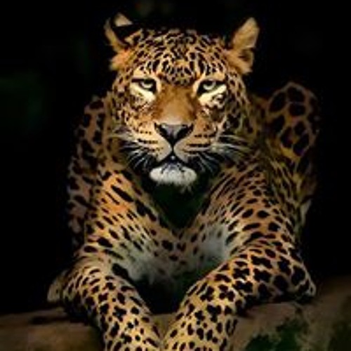 طيار ولا مظلي Youtube