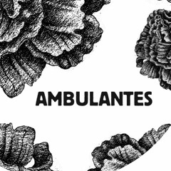 Ambulantes