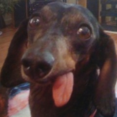 Reddobe123