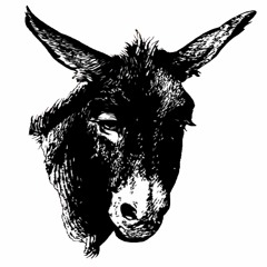 Donkey Meat Podcast
