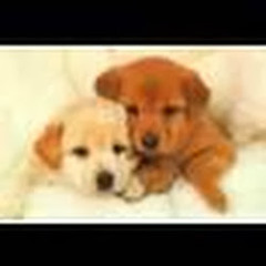 User 633300266