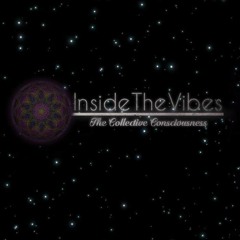 Inside The Vibes