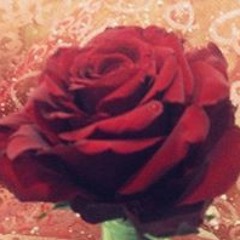 Bushra Hassan