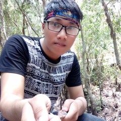 Vuminhtuan2395