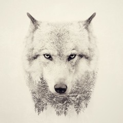 Ron van den Berg (DJ Earthworm)