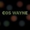 COS WAYNE