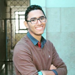 Kareem Mahmoud Abdelaty