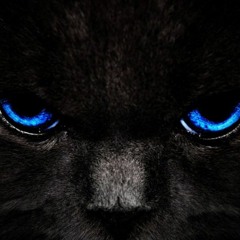 The Greatest Rapa-a-live