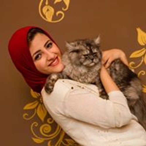 Nadin Rageh’s avatar
