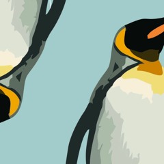 Penguin sounds
