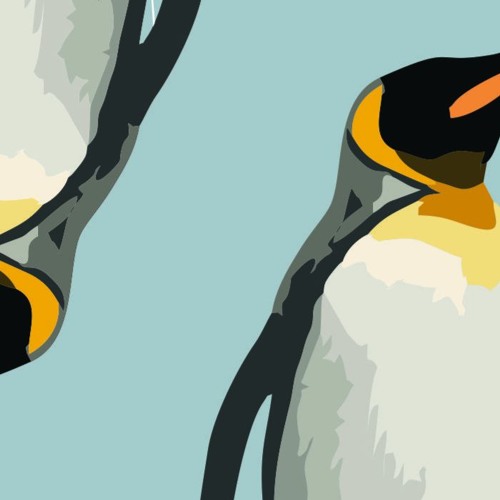 Penguin sounds’s avatar
