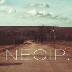 Ugur Necipoglu
