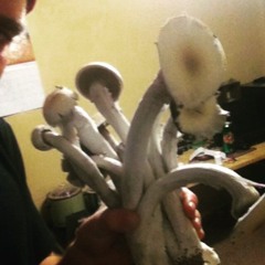 SHROOM GOD