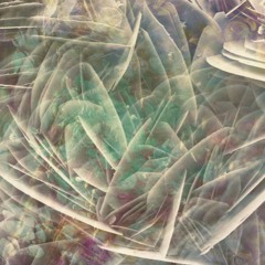 ℳ غ عـ ـذ ـر ن ـه T ℛ ب ه