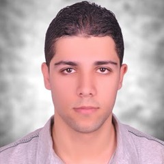 Ahmed Shreef