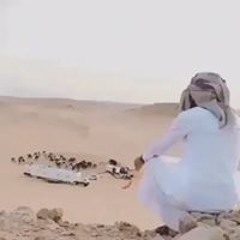 فہخہامهے الفہحيمہانیے