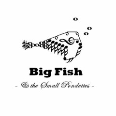 Big Fish+Small Pondettes