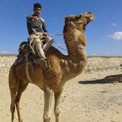 حبيت وبكيت