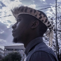 The Urban Zulu