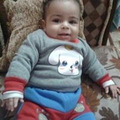 مراد محب