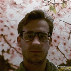 Laurens van Roosmalen