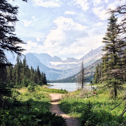 Coma  - Fester N Johan (Prod. Fester)