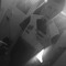Gian Haschcookie Xbl