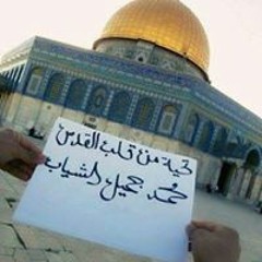 Mohammed J Alsheyab