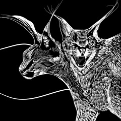 Caracals