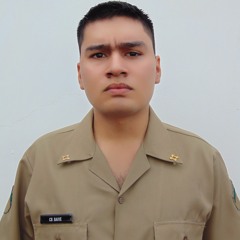 Samuel Martins Baive