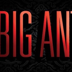 Anthony Big Ant Arriaga