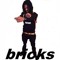 Zay Bricks