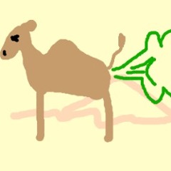 Camel Farts