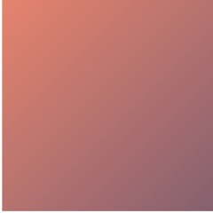 slin.net.e