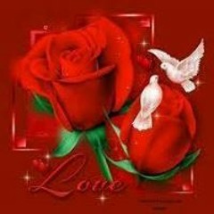 mostafa hamdy