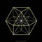 myelin8