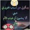 Youssef Mallawany